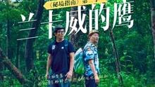 球球大作战下载最新版
